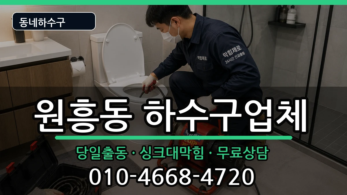 경기고양시덕양구원흥동 하수구막힘 증상 처리 안내 이미지 3