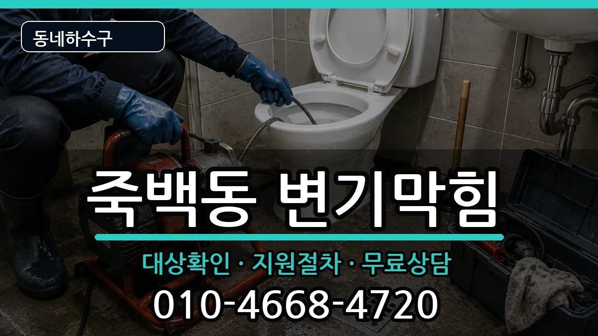 경기평택시죽백동 변기막힘 경기평택시죽백동 변기막힘 증상 처리 안내 이미지 1