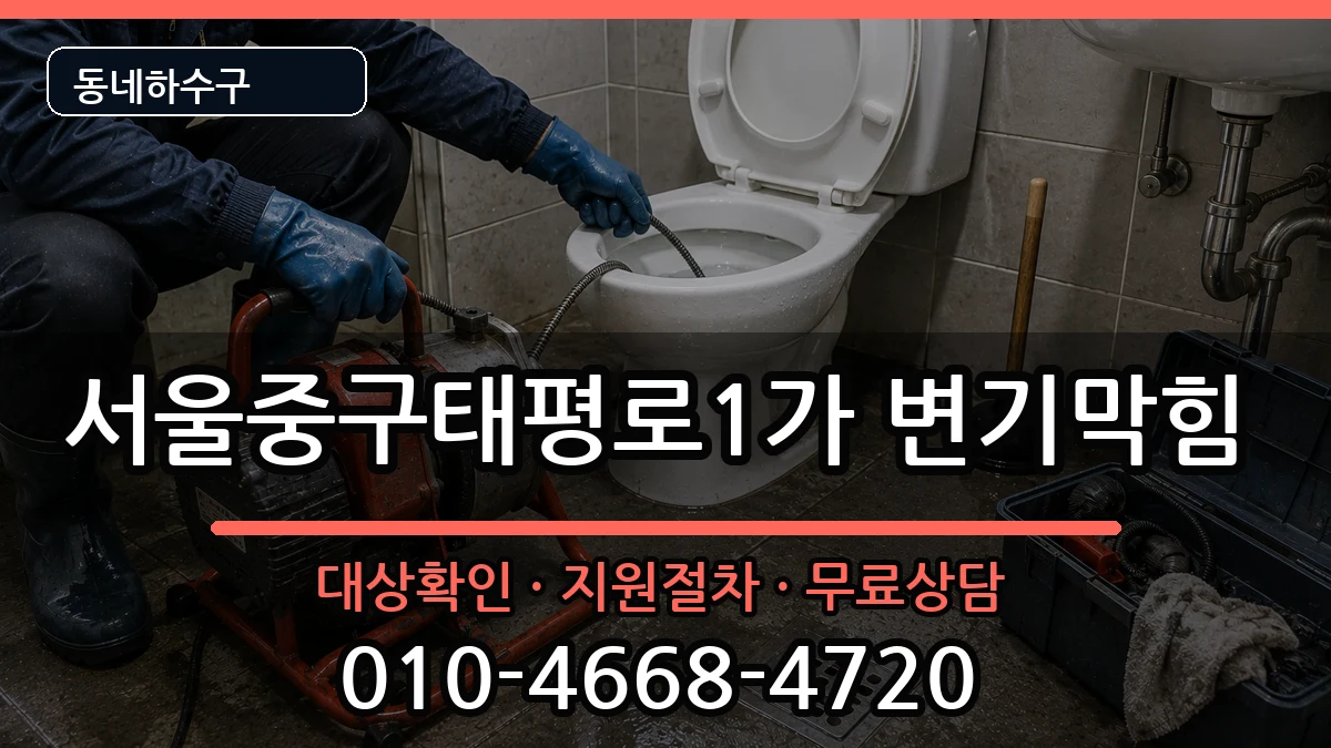 서울중구태평로1가 변기막힘 서울중구태평로1가 변기막힘 증상 처리 안내 이미지 2