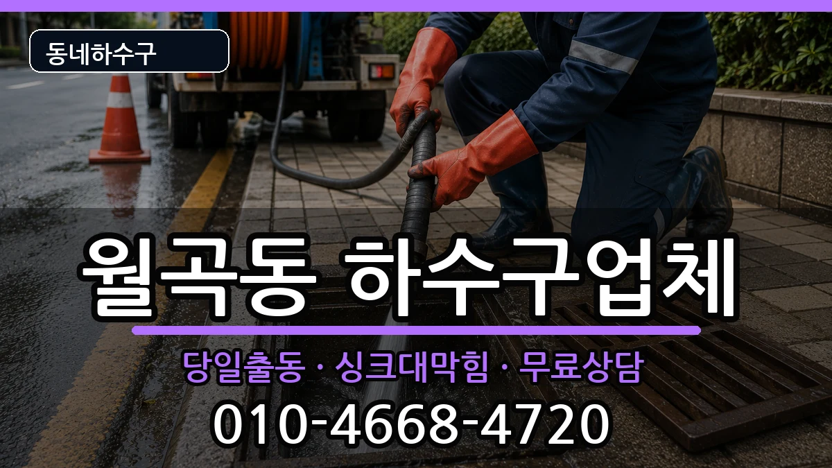 경기평택시월곡동 하수구막힘 경기평택시월곡동 하수구막힘 증상 처리 안내 이미지 2