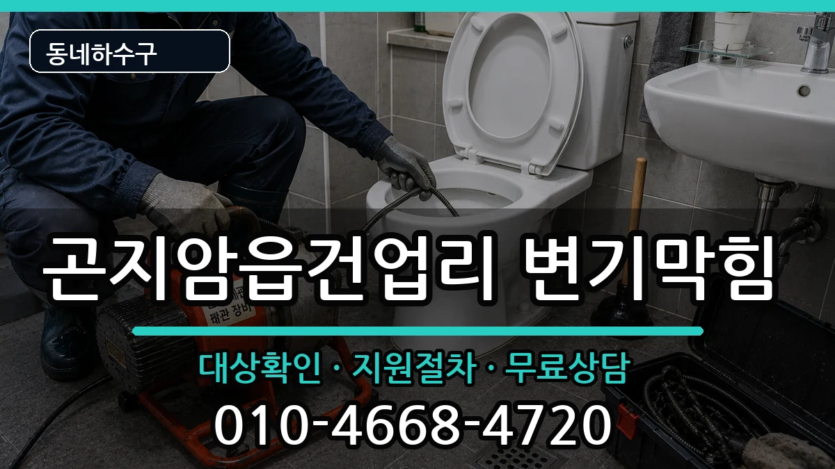 경기광주시곤지암읍건업리 변기막힘 증상 처리 안내 이미지 3