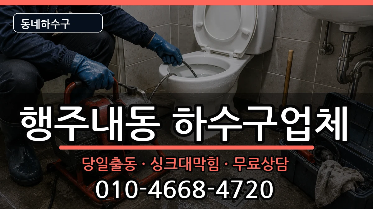 경기고양시덕양구행주내동 하수구막힘 증상 처리 안내 이미지 1