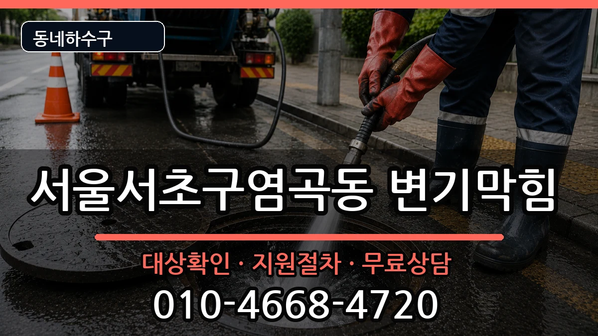 서울서초구염곡동  변기막힘 질문형