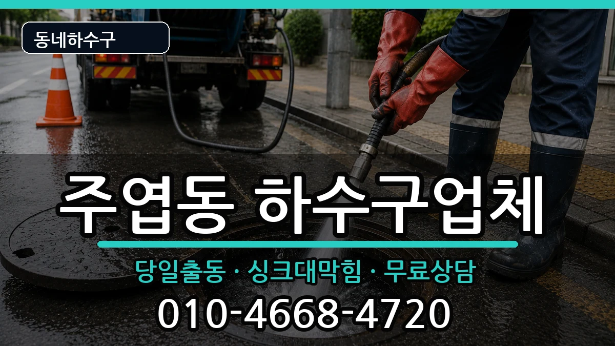 경기고양시일산서구주엽동 하수구막힘 증상 처리 안내 이미지 2