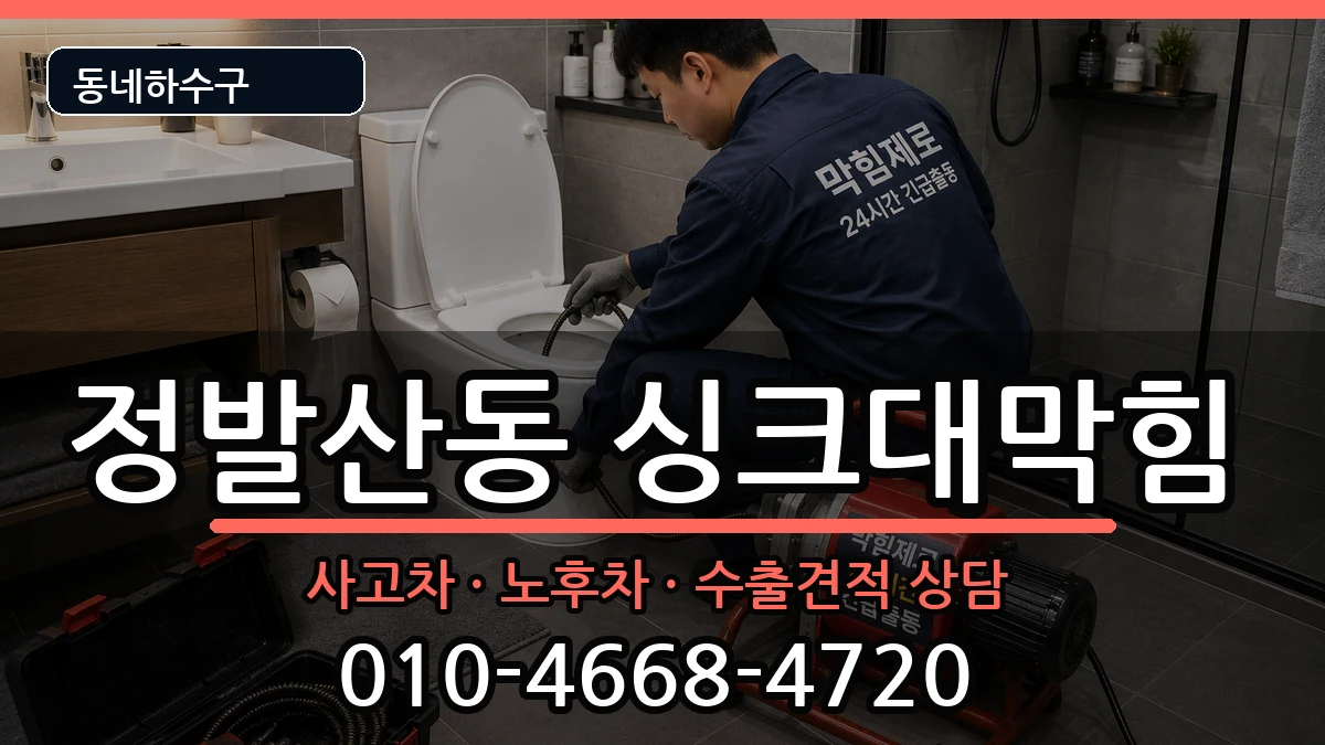 경기고양시일산동구정발산동 싱크대막힘 경기고양시일산동구정발산동 싱크대막힘 증상 처리 안내 이미지 2