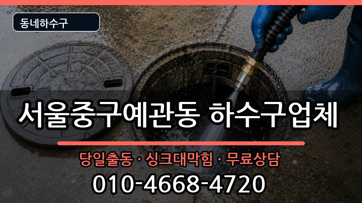 서울중구예관동 하수구막힘 서울중구예관동 하수구막힘 증상 처리 안내 이미지 1