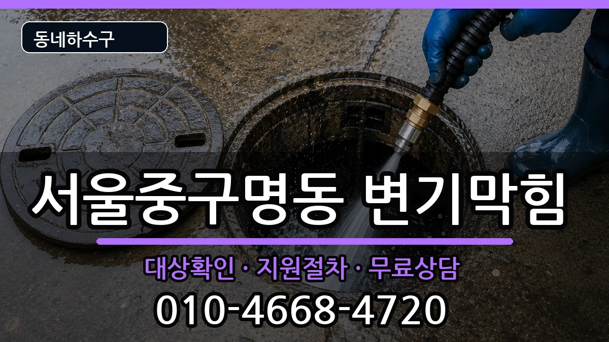 서울중구명동 변기막힘 서울중구명동 변기막힘 증상 처리 안내 이미지 3