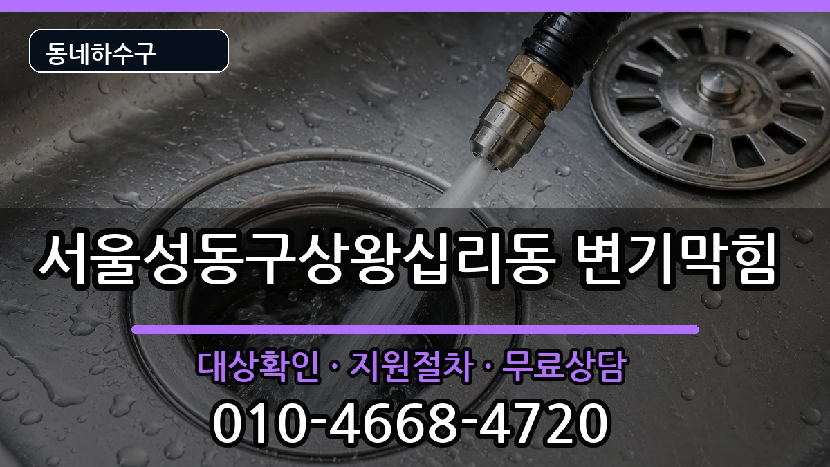 서울성동구상왕십리동 변기막힘 서울성동구상왕십리동 변기막힘 증상 처리 안내 이미지 1