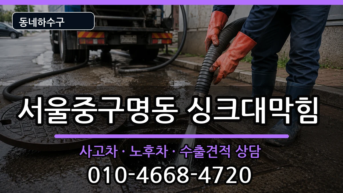 서울중구명동 싱크대막힘 서울중구명동 싱크대막힘 증상 처리 안내 이미지 1
