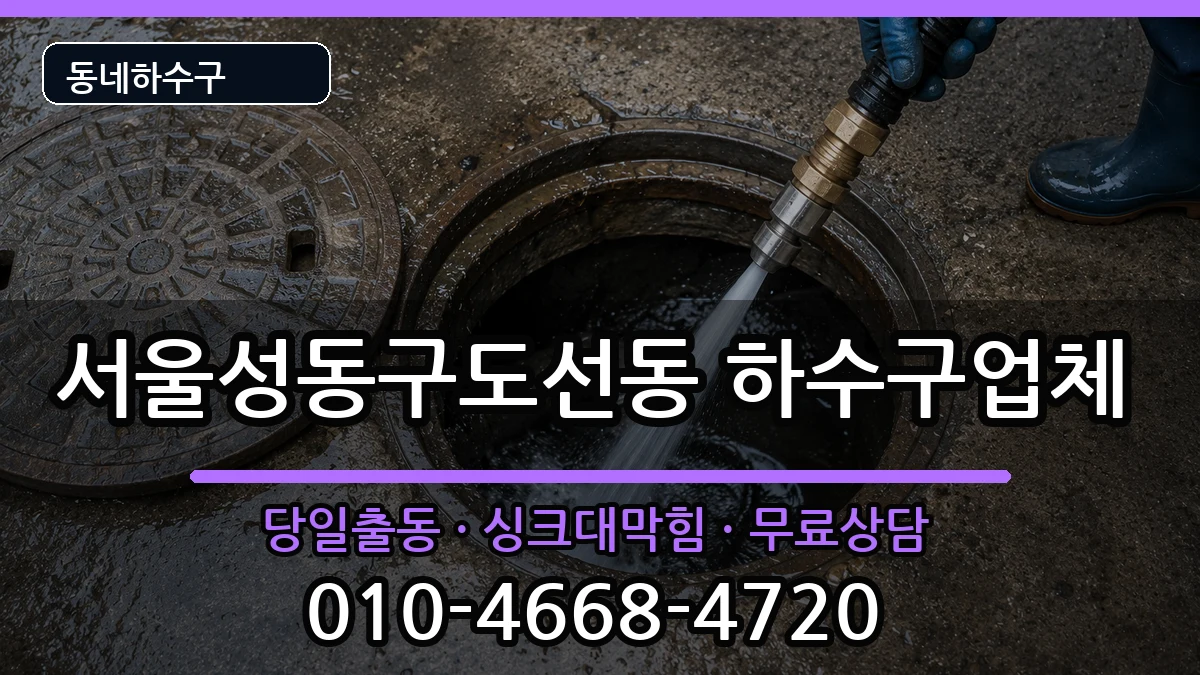 서울성동구도선동 하수구막힘 서울성동구도선동 하수구막힘 증상 처리 안내 이미지 1