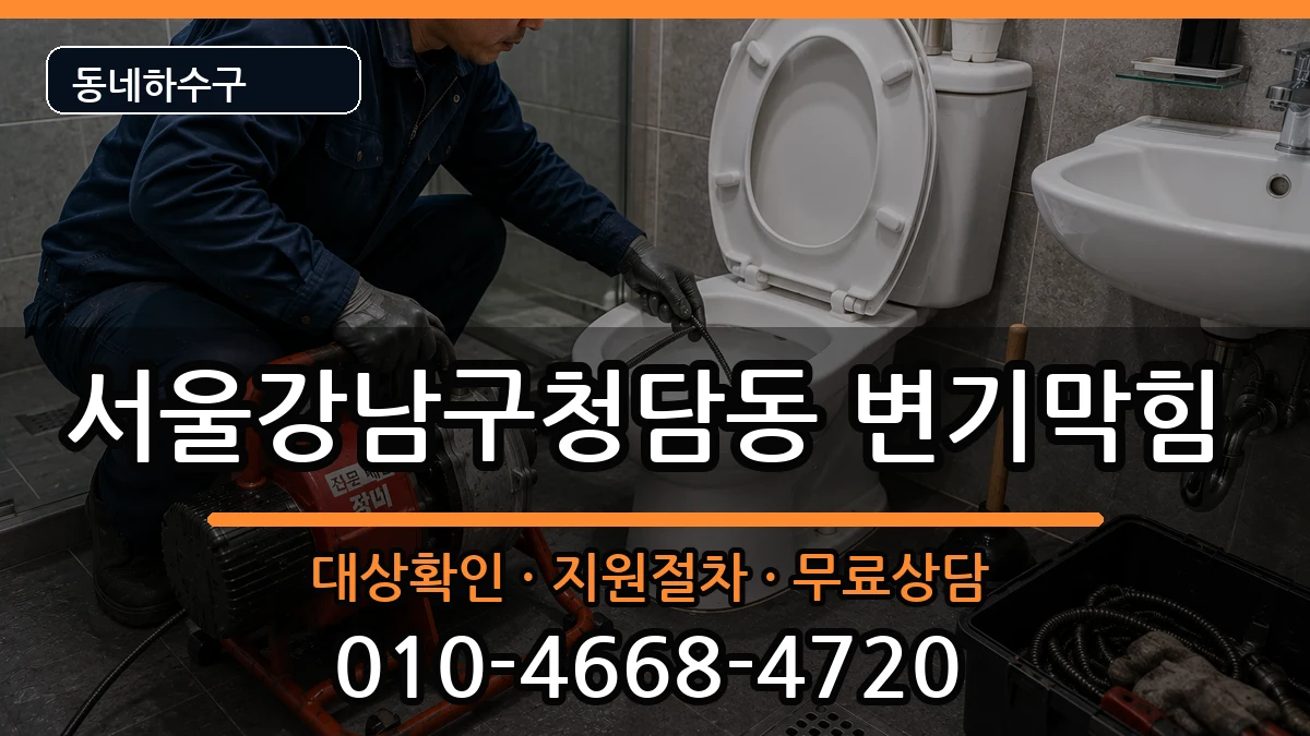 서울강남구청담동 변기막힘 증상 처리 안내 이미지 3