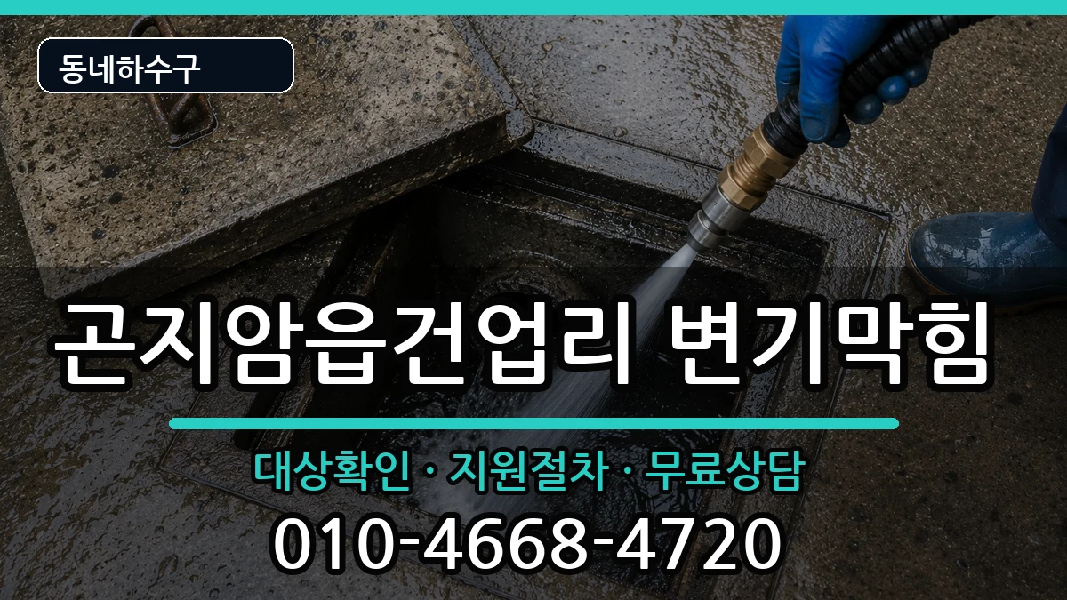 경기광주시곤지암읍건업리 변기막힘 증상 처리 안내 이미지 1