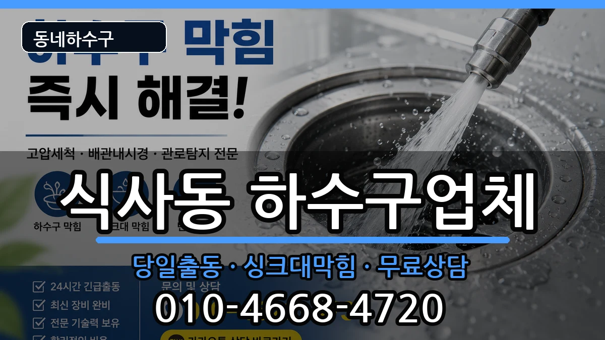 경기고양시일산동구식사동  하수구막힘 지역형