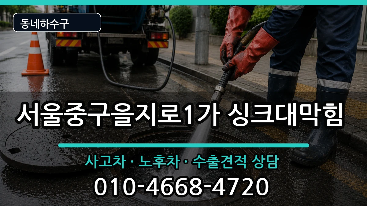 서울중구을지로1가 싱크대막힘 서울중구을지로1가 싱크대막힘 증상 처리 안내 이미지 1
