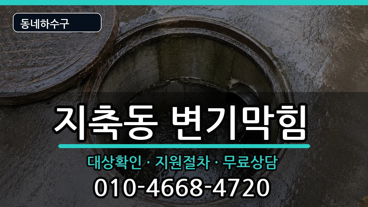 경기고양시덕양구지축동 변기막힘 경기고양시덕양구지축동 변기막힘 증상 처리 안내 이미지 2