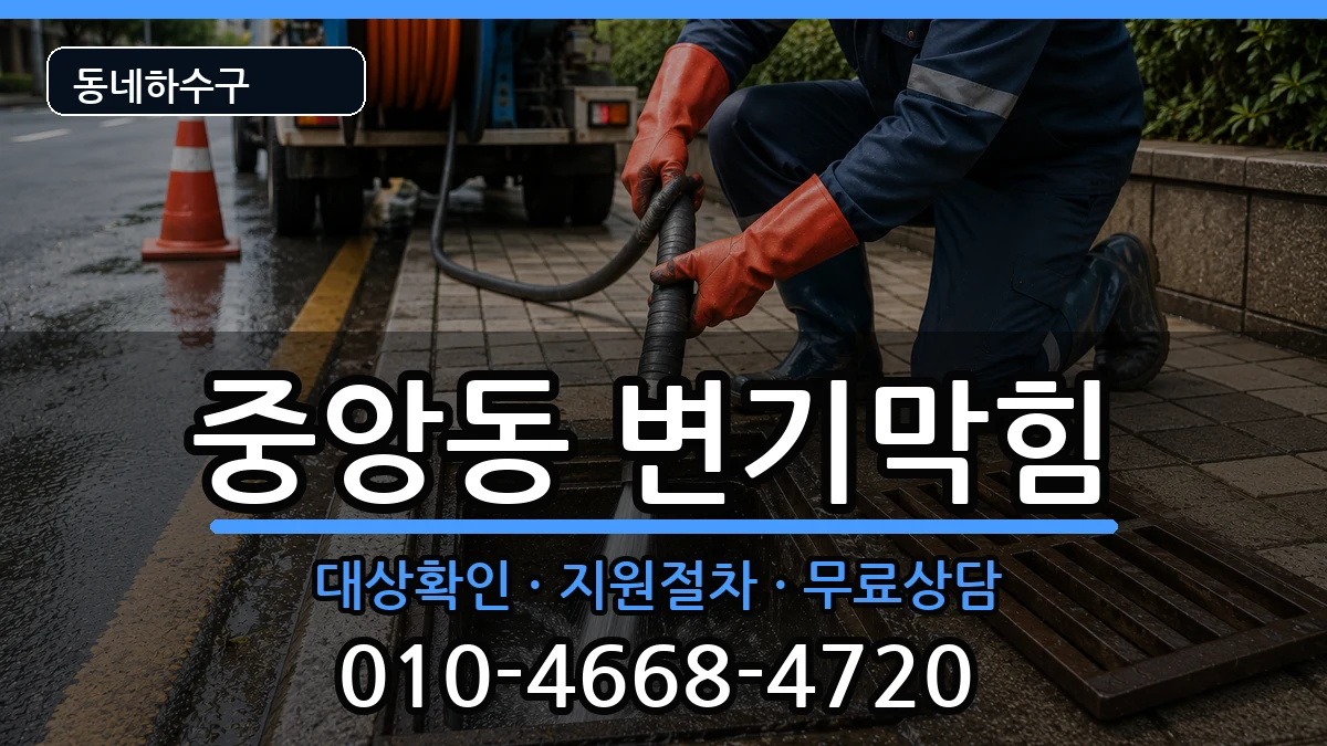 경기과천시중앙동  변기막힘 질문형