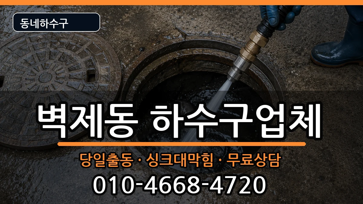 경기고양시덕양구벽제동 하수구막힘 증상 처리 안내 이미지 3