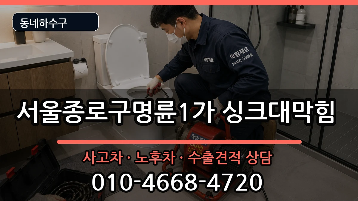 서울종로구명륜1가 싱크대막힘 서울종로구명륜1가 싱크대막힘 증상 처리 안내 이미지 3