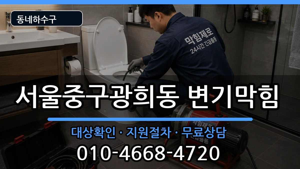 서울중구광희동 변기막힘 서울중구광희동 변기막힘 증상 처리 안내 이미지 3