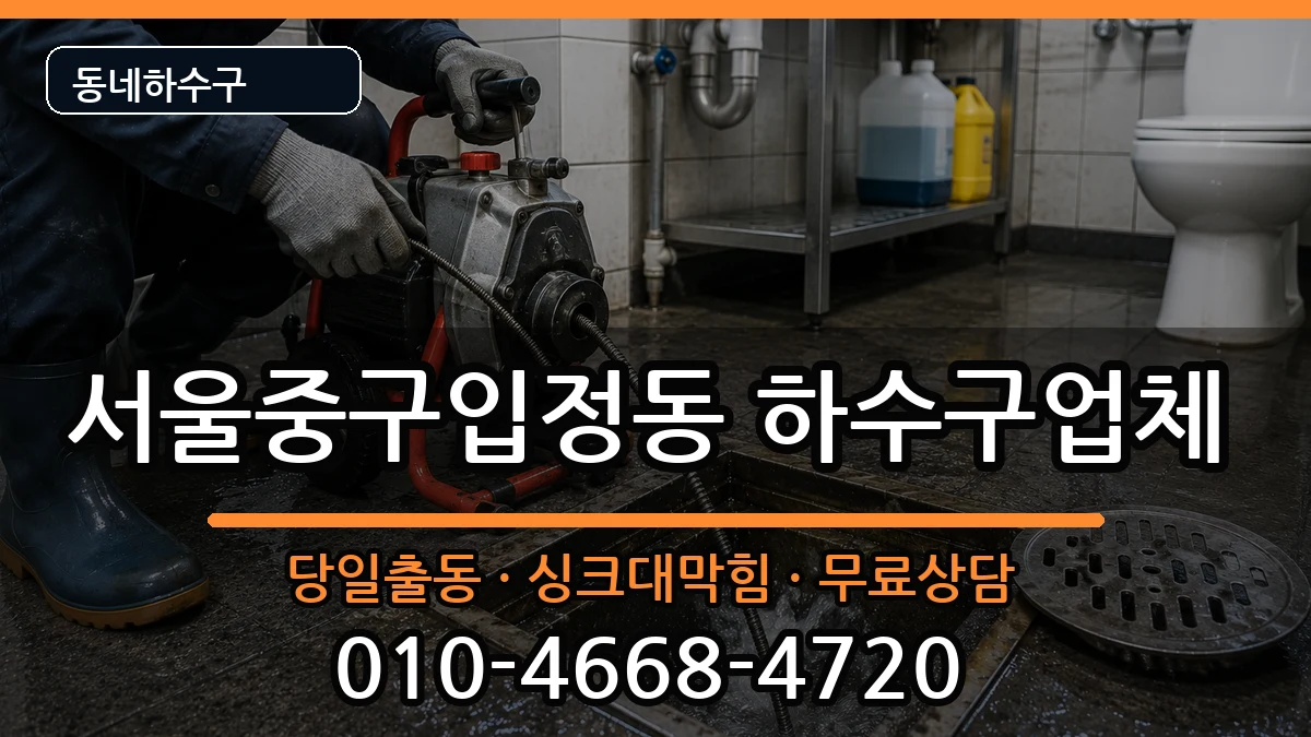 서울중구입정동  하수구막힘 정보형
