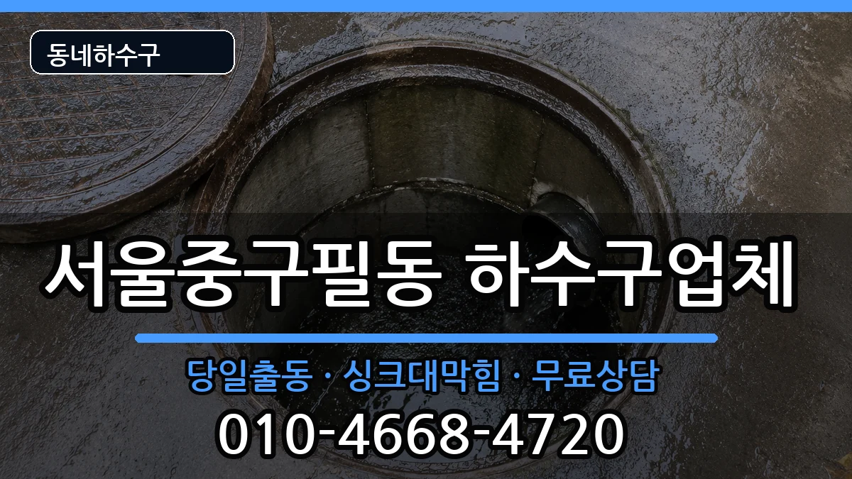 서울중구필동 하수구막힘 증상 처리 안내 이미지 3