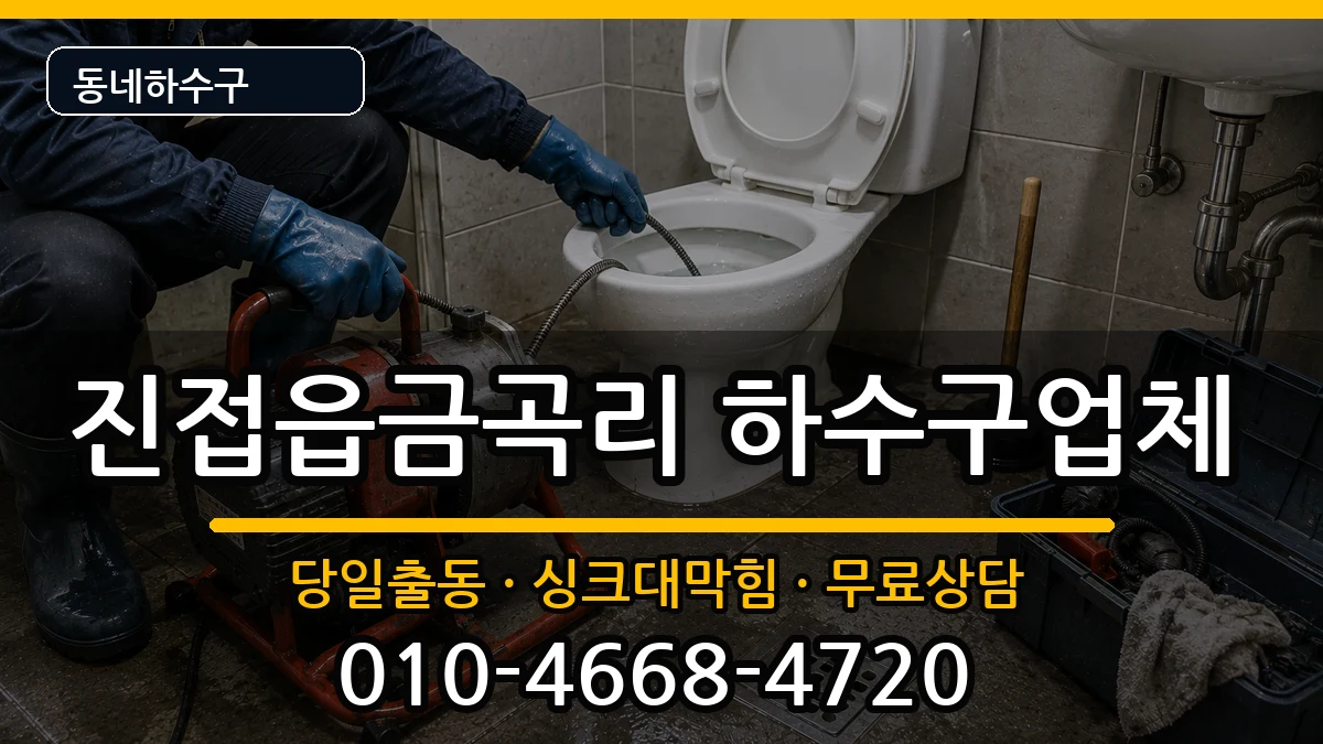 경기남양주시진접읍금곡리 하수구막힘 증상 처리 안내 이미지 3