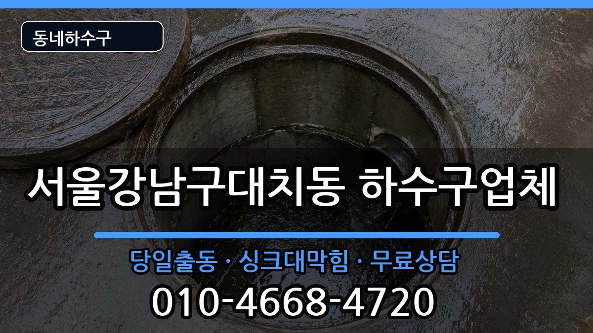 서울강남구대치동 하수구막힘 서울강남구대치동 하수구막힘 증상 처리 안내 이미지 2