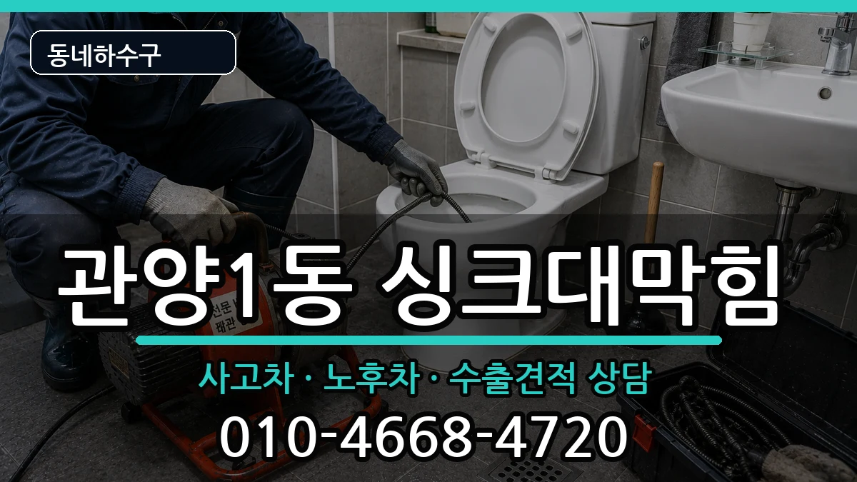 경기안양시동안구관양1동 싱크대막힘 증상 처리 안내 이미지 2