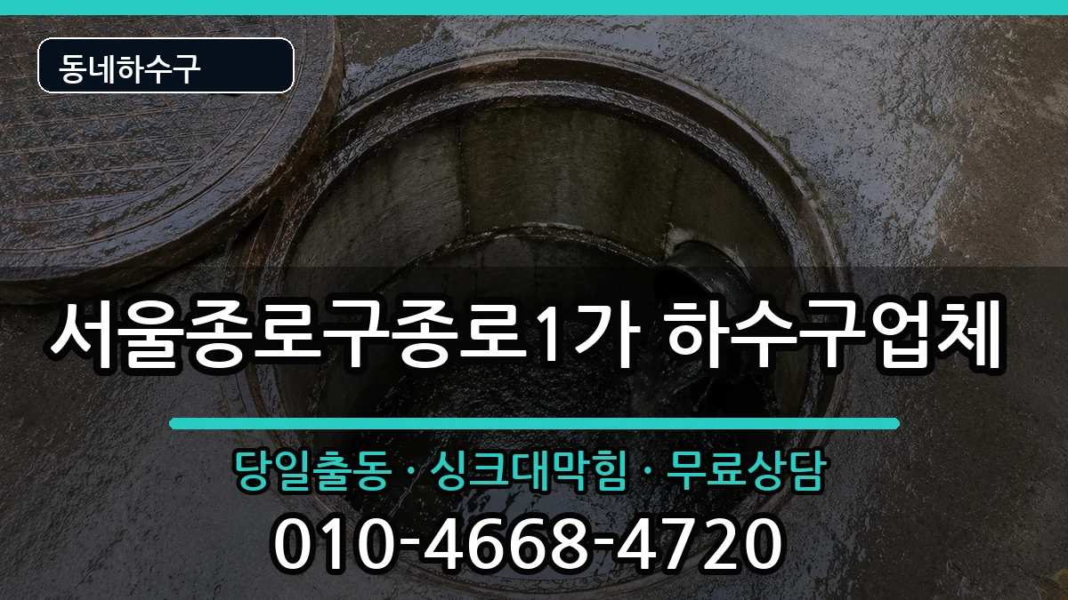 서울종로구종로1가 하수구막힘 증상 처리 안내 이미지 1