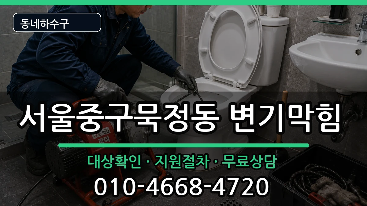 서울중구묵정동  변기막힘 사례형