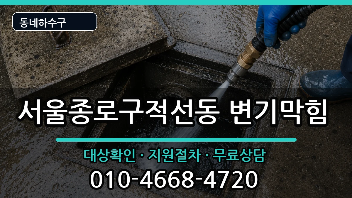 서울종로구적선동 변기막힘 서울종로구적선동 변기막힘 증상 처리 안내 이미지 2
