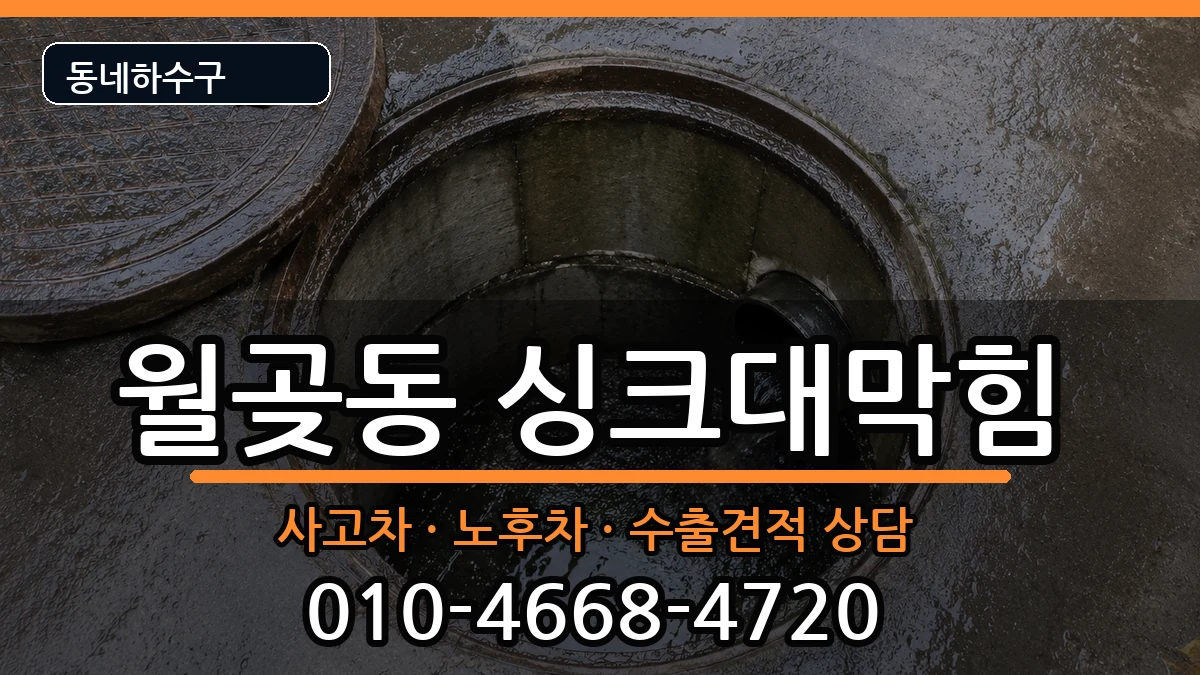 경기시흥시월곶동 싱크대막힘 증상 처리 안내 이미지 2