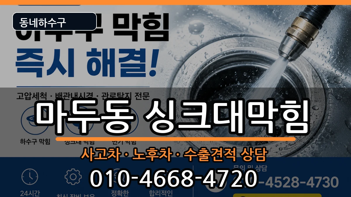 경기고양시일산동구마두동 싱크대막힘 증상 처리 안내 이미지 2