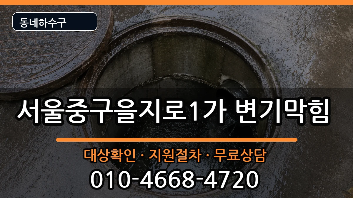서울중구을지로1가 변기막힘 증상 처리 안내 이미지 1