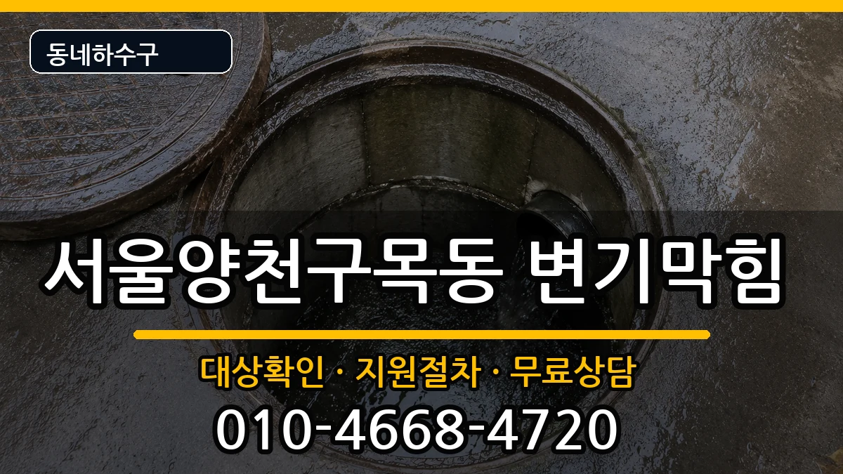 서울양천구목동 변기막힘 증상 처리 안내 이미지 1