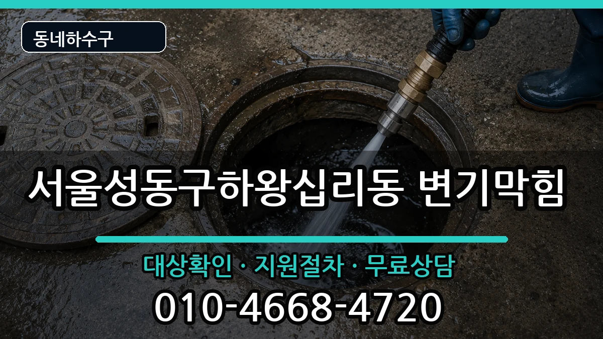 서울성동구하왕십리동 변기막힘 서울성동구하왕십리동 변기막힘 증상 처리 안내 이미지 1