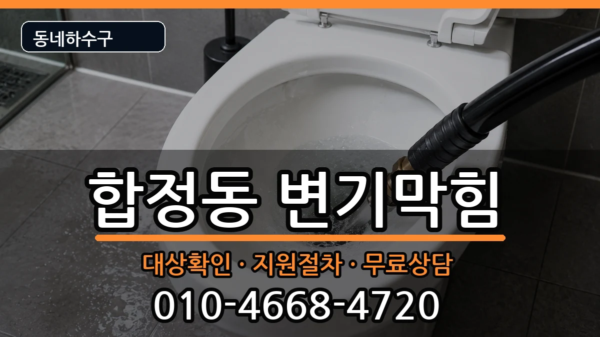 경기평택시합정동 변기막힘 증상 처리 안내 이미지 2