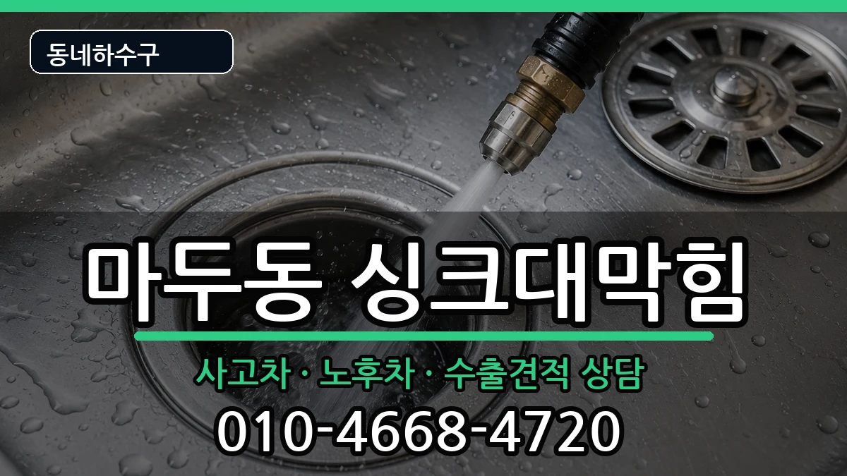 경기고양시일산동구마두동 싱크대막힘 증상 처리 안내 이미지 1