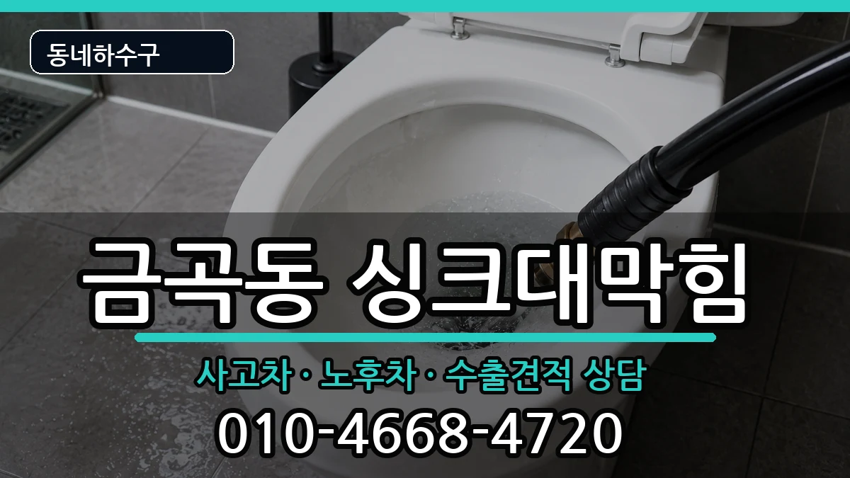 경기남양주시금곡동 싱크대막힘 증상 처리 안내 이미지 3