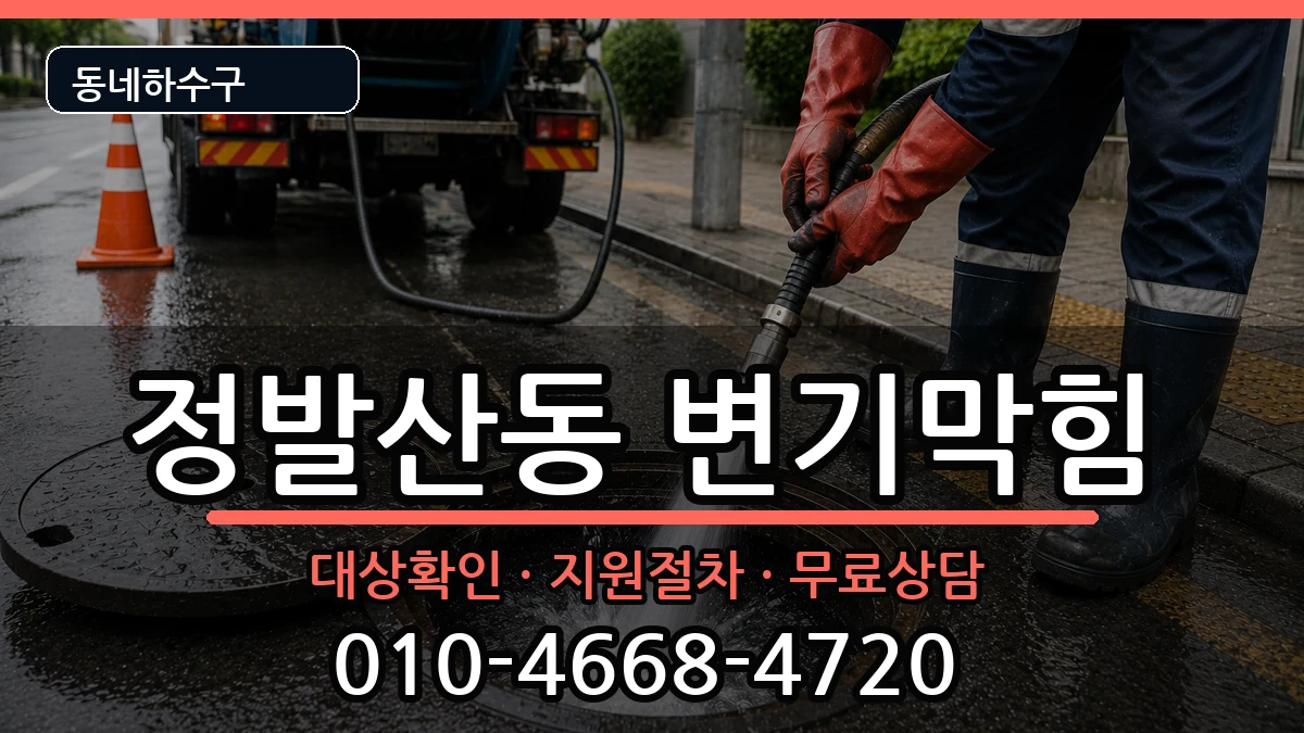 경기고양시일산동구정발산동  변기막힘 질문형