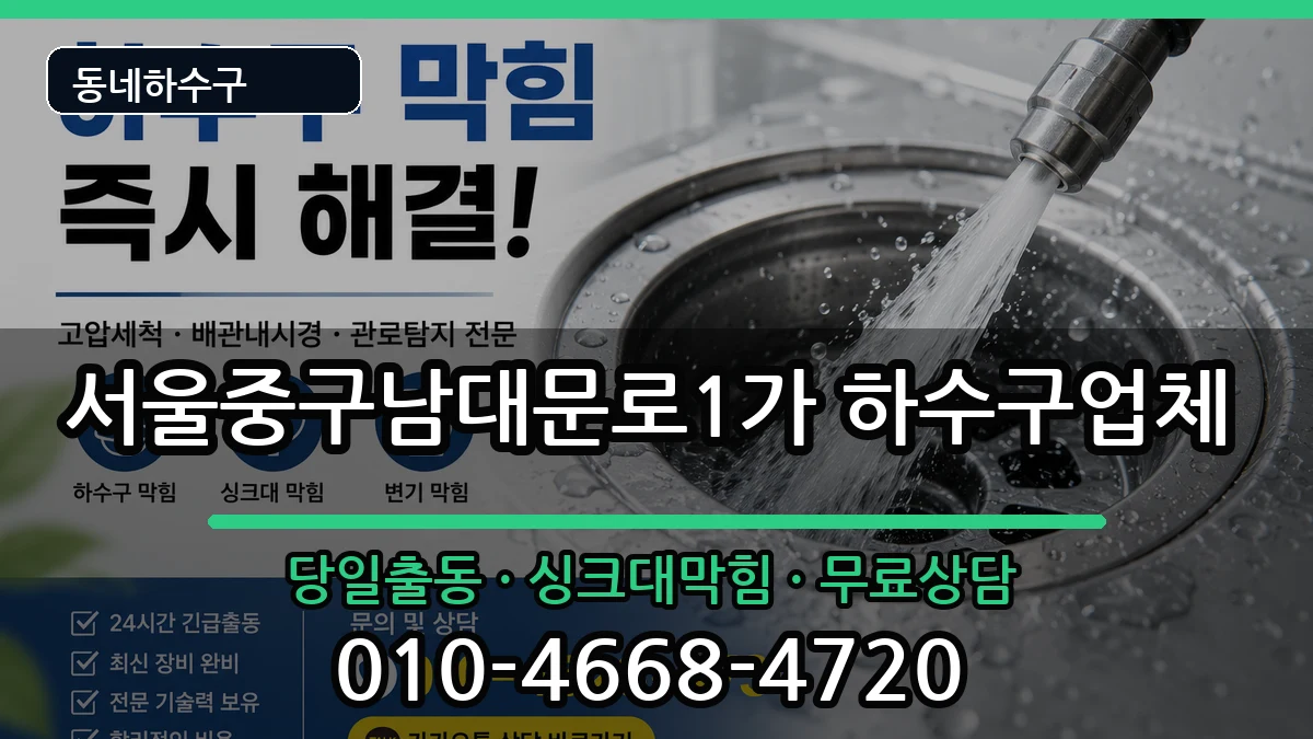 서울중구남대문로1가 하수구막힘 증상 처리 안내 이미지 3