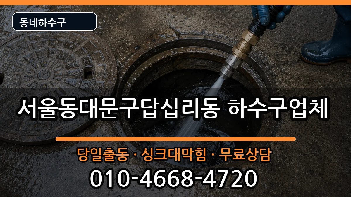 서울동대문구답십리동 하수구막힘 서울동대문구답십리동 하수구막힘 증상 처리 안내 이미지 1
