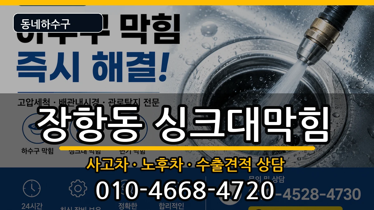 경기고양시일산동구장항동  싱크대막힘 절차형