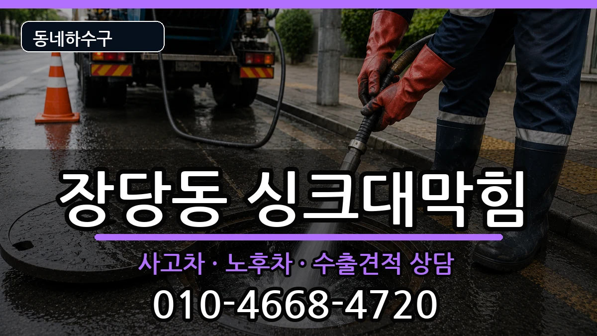 경기평택시장당동  싱크대막힘 질문형