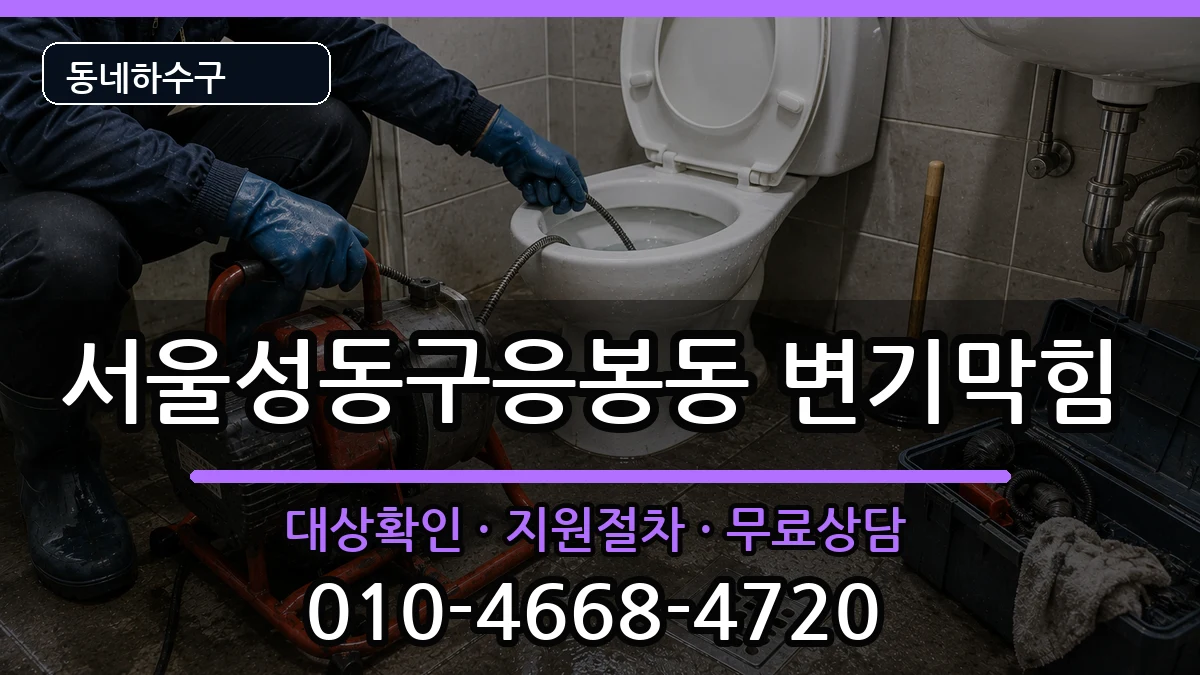 서울성동구응봉동 변기막힘 증상 처리 안내 이미지 1