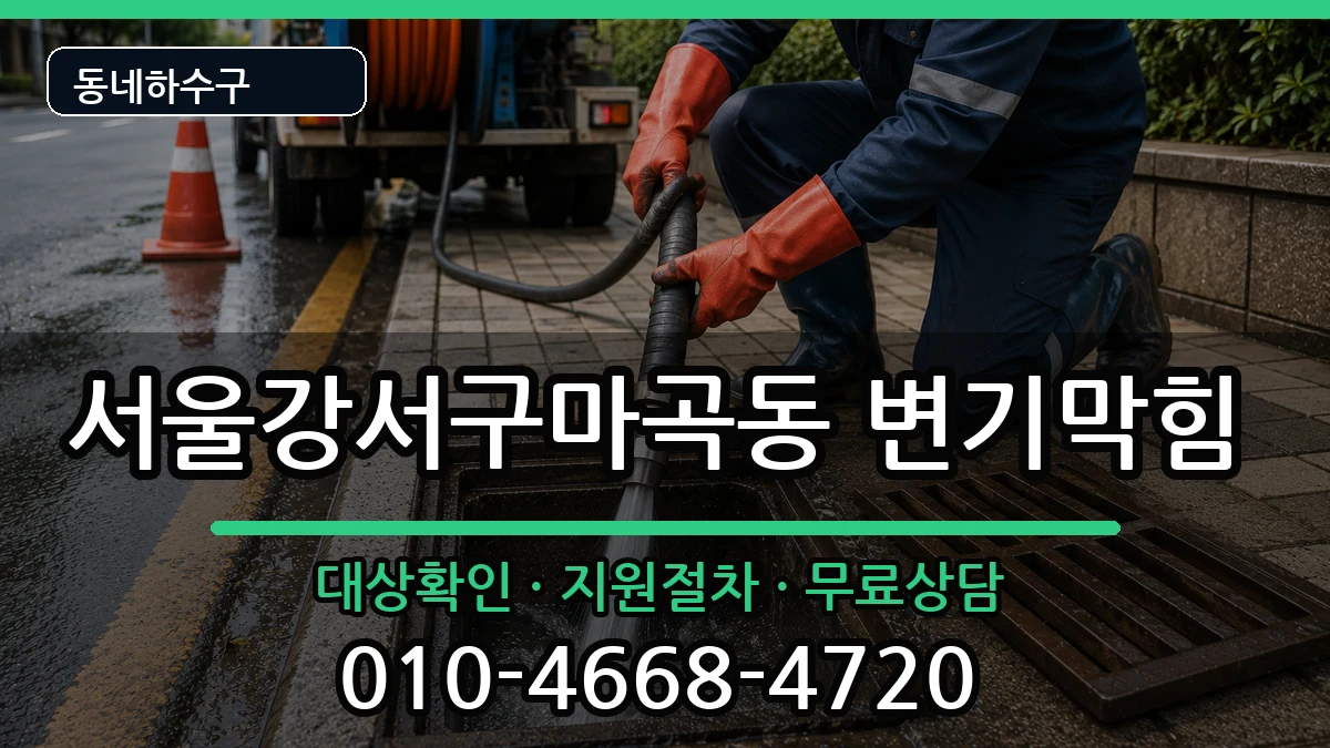 서울강서구마곡동 변기막힘 증상 처리 안내 이미지 1