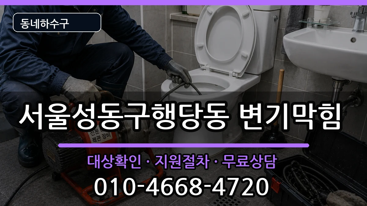 서울성동구행당동  변기막힘 비교형