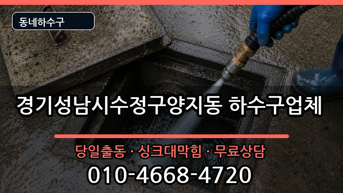 경기성남시수정구양지동  하수구막힘 주의사항형