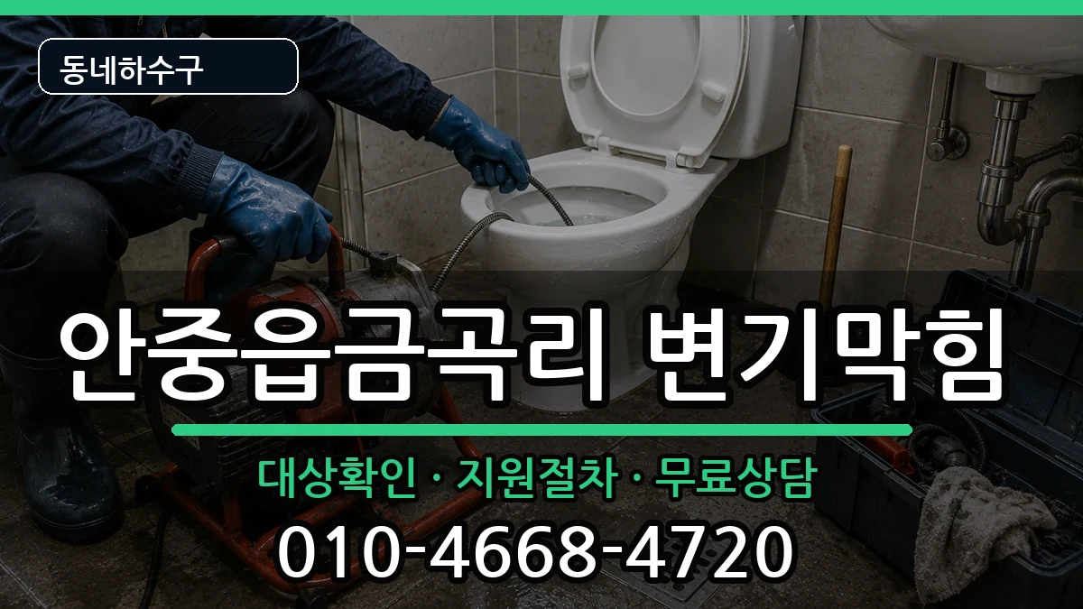 경기평택시안중읍금곡리  변기막힘 비교형