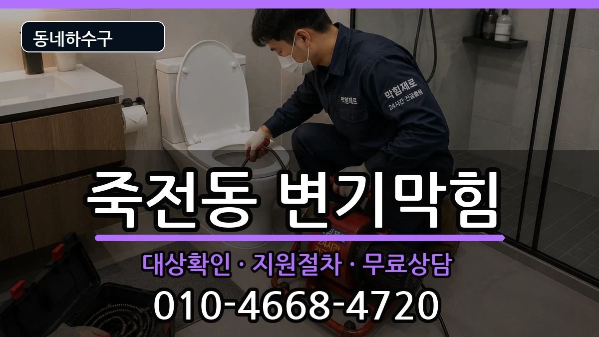 경기용인시수지구죽전동  변기막힘 사례형